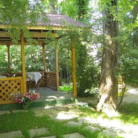 Elena 4* אפורי נורד