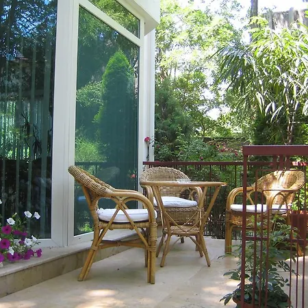 Elena מלון אפורי נורד